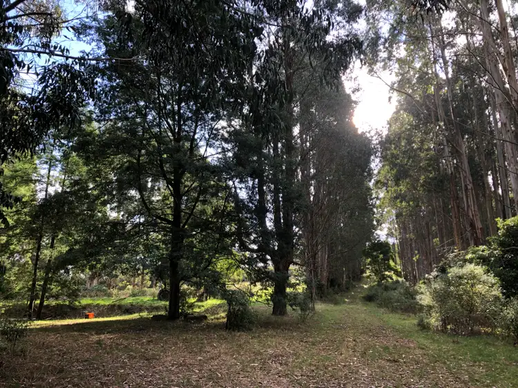 Seventh view of Homely rural property listing, 606 Woomera Creek Rd, Toora VIC 3962