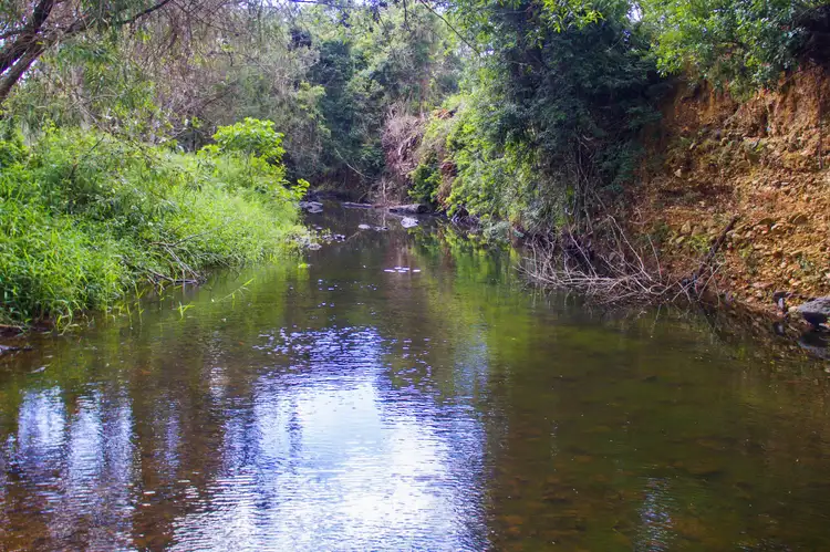 Third view of Homely land listing, Lot 110 Clearwater Court, Wongawallan QLD 4210