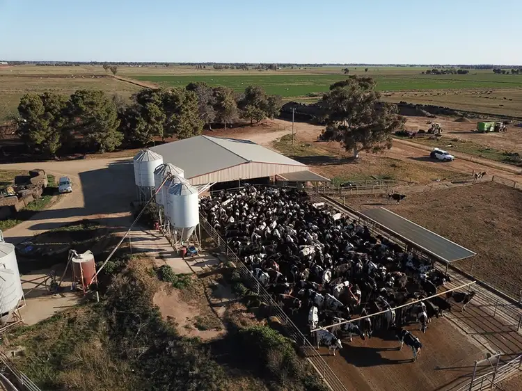 Second view of Homely rural property listing, 89 Logie Brae Road, Finley NSW 2713