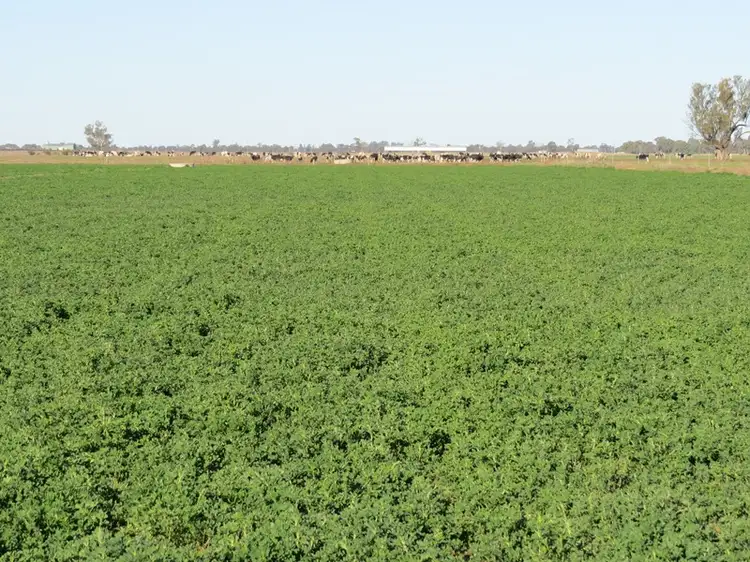 Third view of Homely rural property listing, 89 Logie Brae Road, Finley NSW 2713