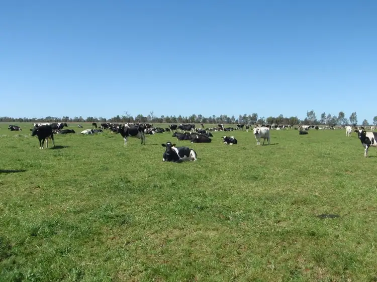 Fifth view of Homely rural property listing, 89 Logie Brae Road, Finley NSW 2713