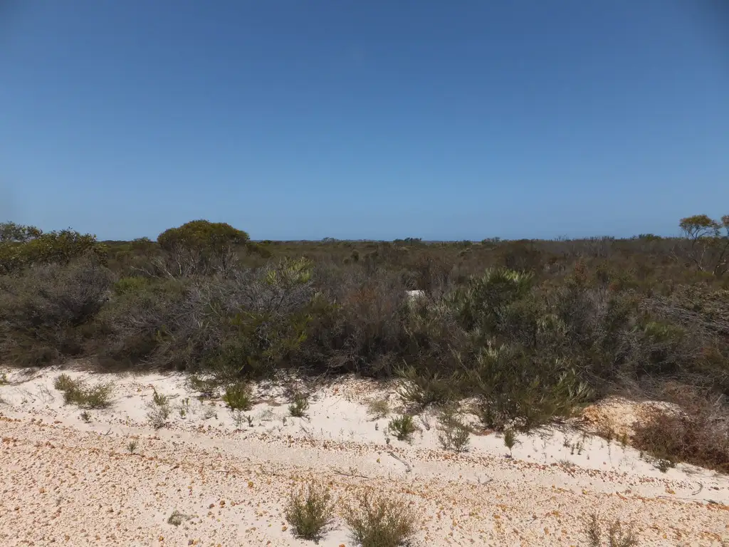 Main view of Homely land listing, 388 Dotterel Drive, Hopetoun WA 6348