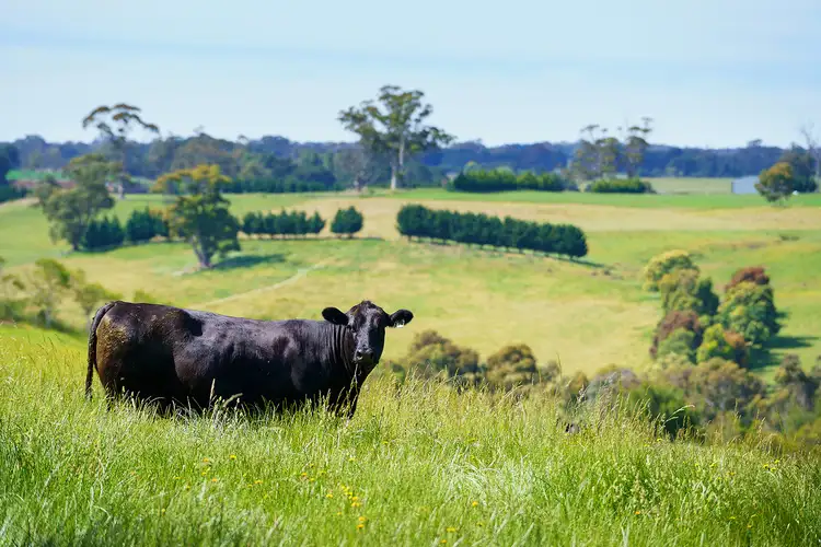 Third view of Homely land listing, Address available on request