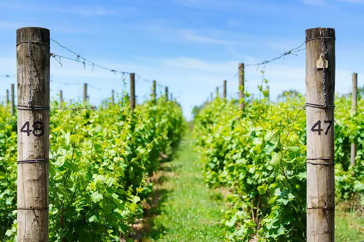 Seventh view of Homely land listing, Address available on request