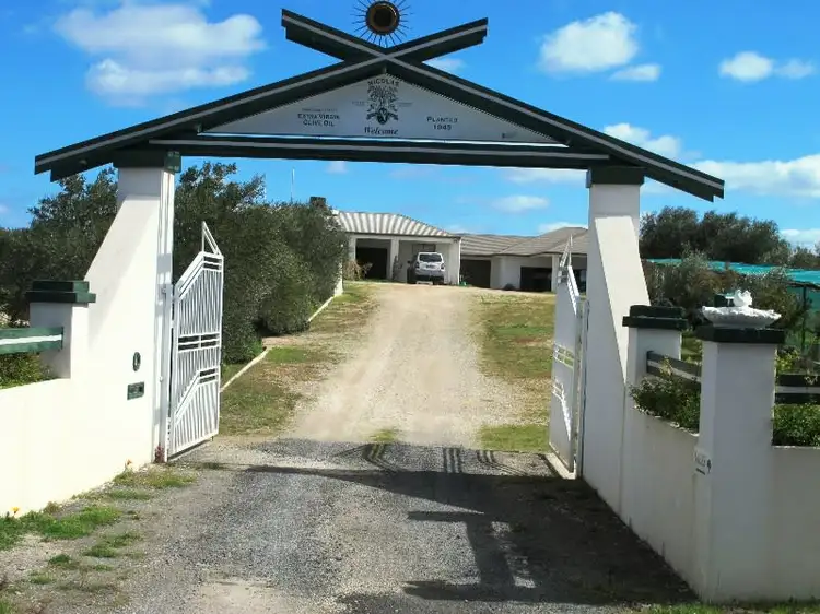 Main view of Homely rural property listing, 320 Horseshoe Bend Road, Dimboola VIC 3414