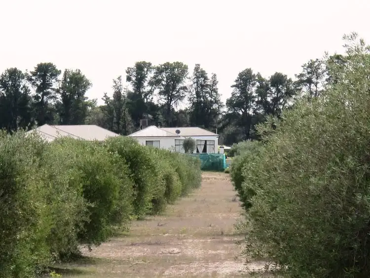 Second view of Homely rural property listing, 320 Horseshoe Bend Road, Dimboola VIC 3414