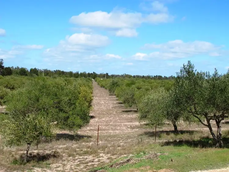 Fourth view of Homely rural property listing, 320 Horseshoe Bend Road, Dimboola VIC 3414