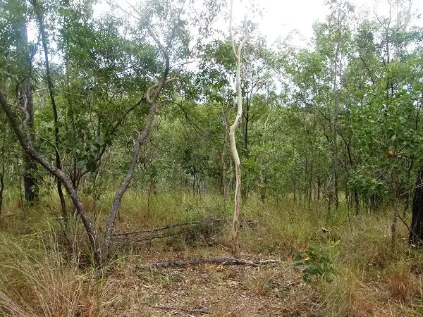 Second view of Homely land listing, Lot 83 Carlisle Crescent, Bloomsbury QLD 4799