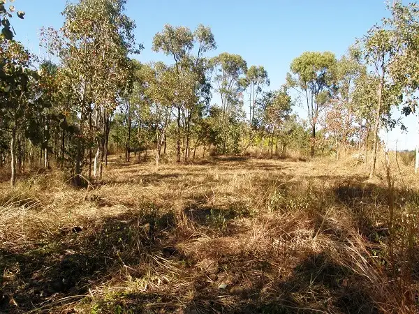 Fourth view of Homely land listing, Lot 83 Carlisle Crescent, Bloomsbury QLD 4799