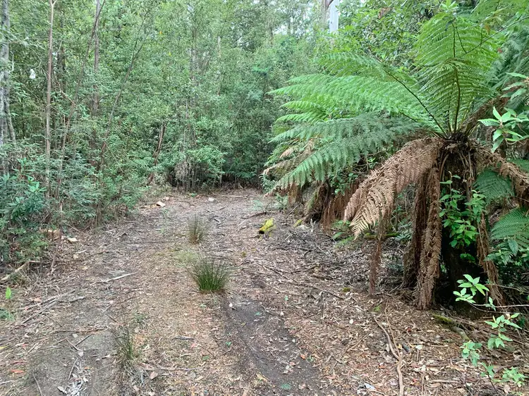 Main view of Homely land listing, 455 Mountain Road, Lilydale TAS 7268