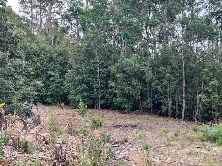 Fourth view of Homely land listing, 455 Mountain Road, Lilydale TAS 7268