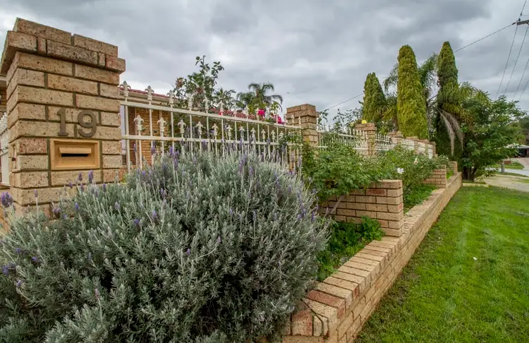 Main view of Homely house listing, 19 Ackmar Way, Swan View WA 6056