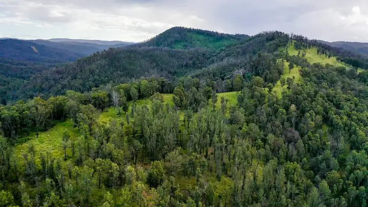 Lot 510 Armidale Road, Nymboida NSW 2460