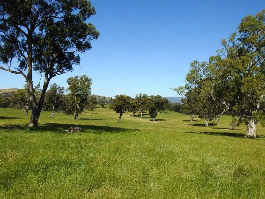 Main view of Homely rural property listing, 14 Ghin Ghin Road, Yea VIC 3717