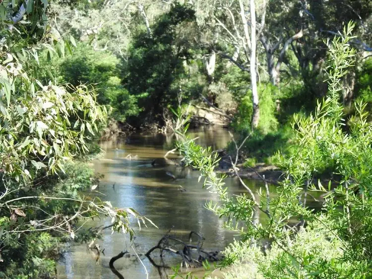 Fourth view of Homely rural property listing, 14 Ghin Ghin Road, Yea VIC 3717