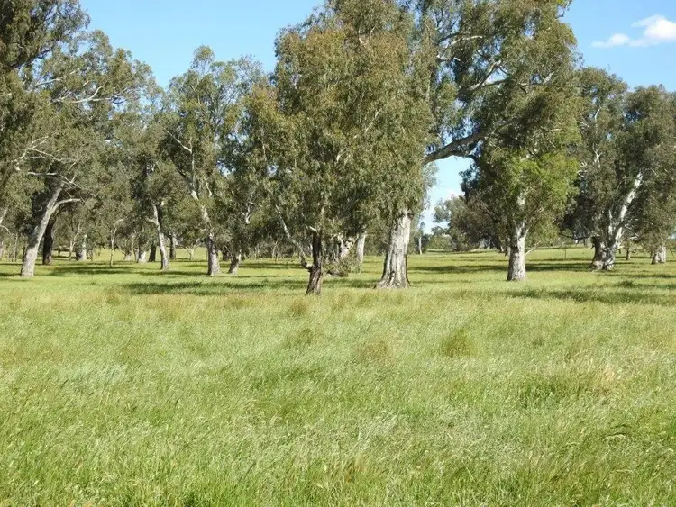 Sixth view of Homely rural property listing, 14 Ghin Ghin Road, Yea VIC 3717