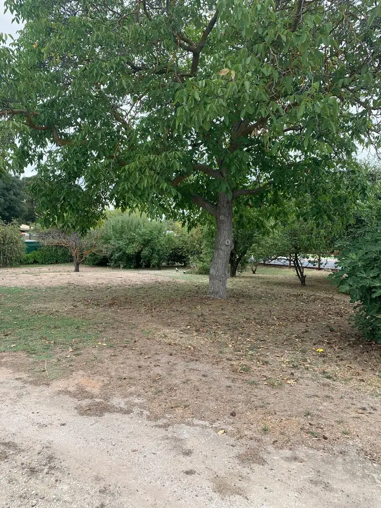 Fifth view of Homely land listing, Allotment 1, 30 Schilling Street, Angaston SA 5353