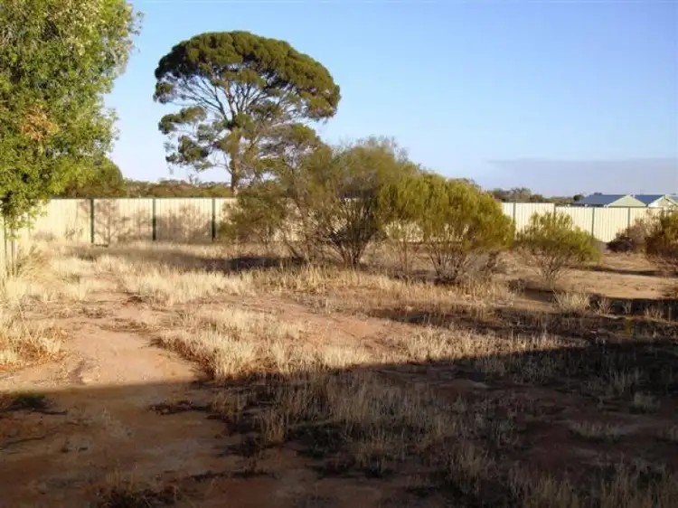 Fifth view of Homely land listing, 3 McGinniss Way, Merredin WA 6415