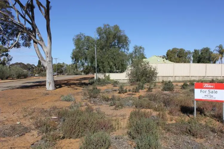 Third view of Homely land listing, 14 Altair Street, Southern Cross WA 6426
