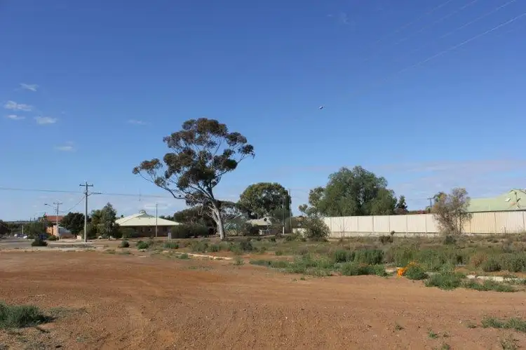 Fifth view of Homely land listing, 14 Altair Street, Southern Cross WA 6426