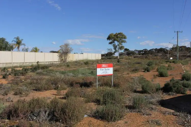 Seventh view of Homely land listing, 14 Altair Street, Southern Cross WA 6426