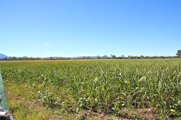 Second view of Homely land listing, 351-407 Mutdapilly Churchbank Weir Road, Mutdapilly QLD 4307
