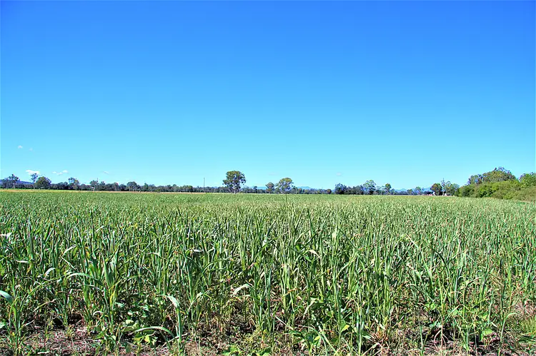 Third view of Homely land listing, 351-407 Mutdapilly Churchbank Weir Road, Mutdapilly QLD 4307