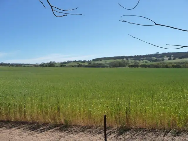 Main view of Homely rural property listing, Lots 87 & 88 Butchers Road, Beverley WA 6304