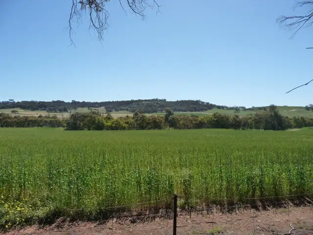 Seventh view of Homely rural property listing, Lots 87 & 88 Butchers Road, Beverley WA 6304