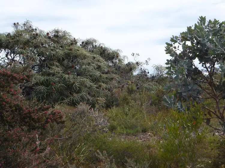 Fourth view of Homely land listing, 6 Seaview Way, Hopetoun WA 6348
