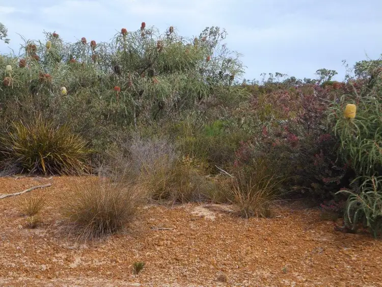 Sixth view of Homely land listing, 6 Seaview Way, Hopetoun WA 6348