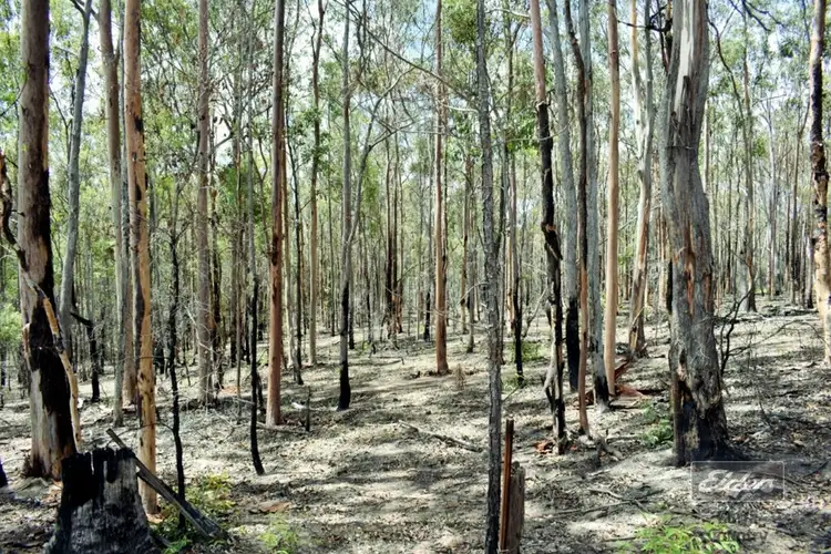Second view of Homely land listing, Lot 1742 Arbortwentytwo Road, Glenwood QLD 4570