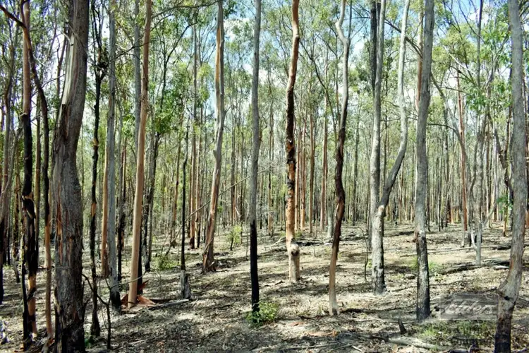 Third view of Homely land listing, Lot 1742 Arbortwentytwo Road, Glenwood QLD 4570