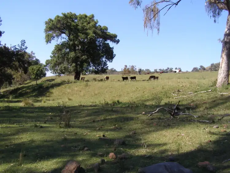Main view of Homely rural property listing, "TWIN VALLEYS" Mossvale Rd Moonan Flat, Scone NSW 2337