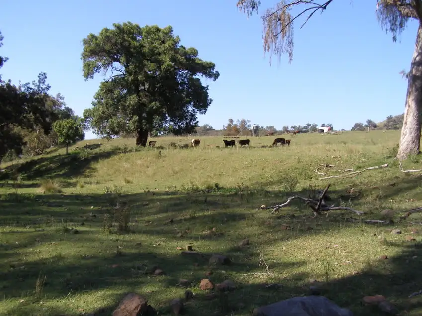 Main view of Homely rural property listing, "TWIN VALLEYS" Mossvale Rd Moonan Flat, Scone NSW 2337