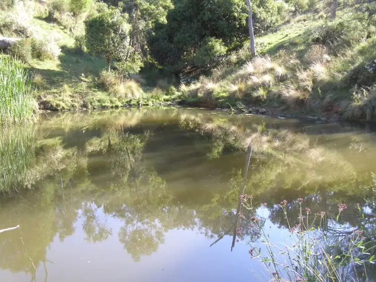 Third view of Homely rural property listing, "TWIN VALLEYS" Mossvale Rd Moonan Flat, Scone NSW 2337