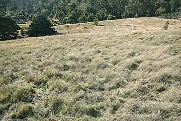 Second view of Homely land listing, 142a Pritchards Lane, Dysart TAS 7030
