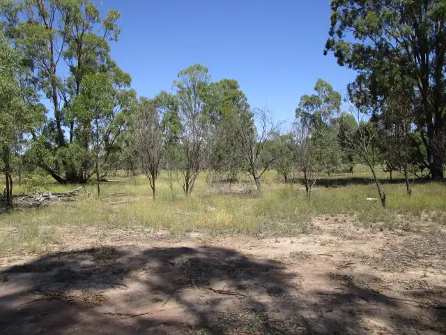 Fifth view of Homely rural property listing, 557 Myra Road, Tara QLD 4421