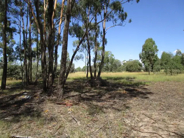 Seventh view of Homely rural property listing, 557 Myra Road, Tara QLD 4421
