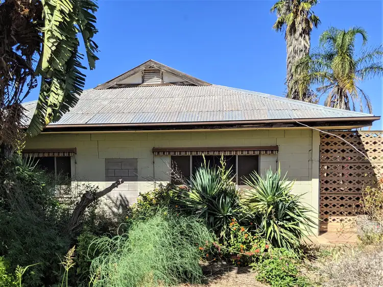 Main view of Homely house listing, 197 Winkie Road, Winkie SA 5343