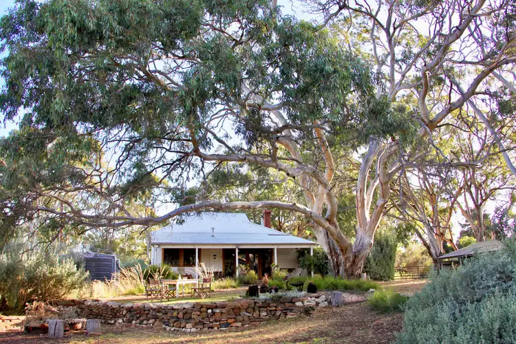Main view of Homely house listing, 1130 PLAYFORD HIGHWAY, Cygnet River SA 5223