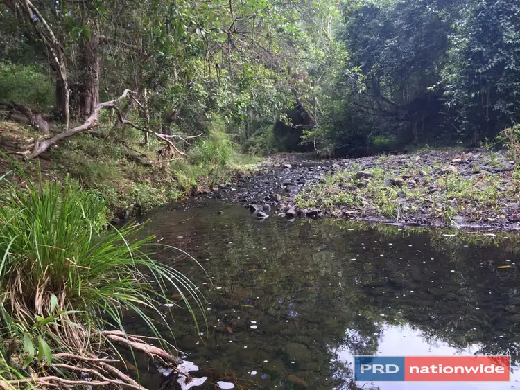 Sixth view of Homely rural property listing, 417 Roseberry Creek Road, Kyogle NSW 2474