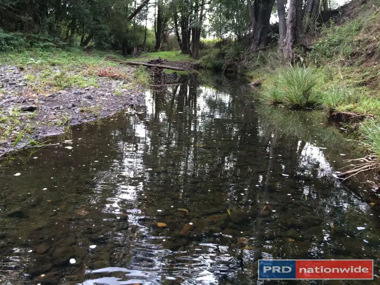 Seventh view of Homely rural property listing, 417 Roseberry Creek Road, Kyogle NSW 2474