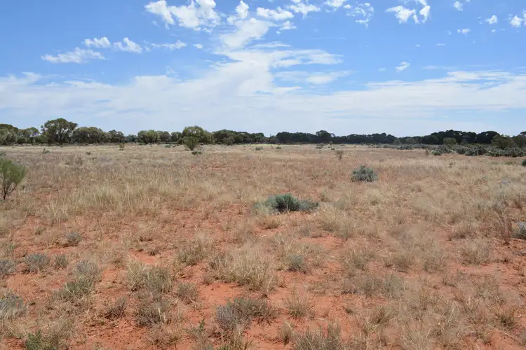 Lot 1826 Teryawynia Coolaminyah Road, Ivanhoe NSW 2878