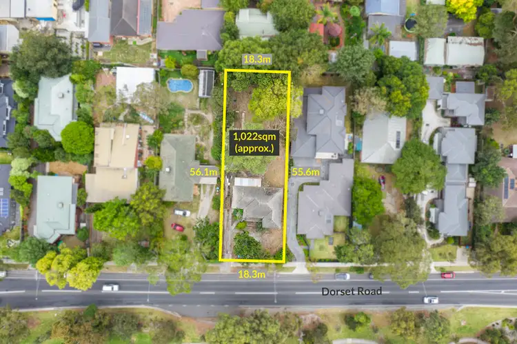 Main view of Homely house listing, 74 Dorset Road, Croydon VIC 3136