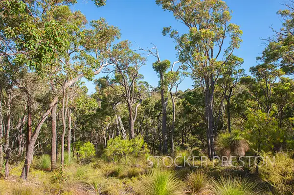 Fourth view of Homely land listing, 198 Yungarra Drive, Quedjinup WA 6281