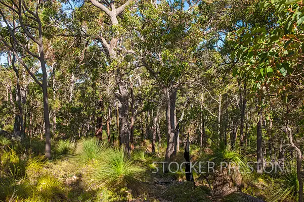 Fifth view of Homely land listing, 198 Yungarra Drive, Quedjinup WA 6281
