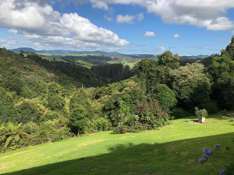 521 Muldiva Road, Dorrigo NSW 2453