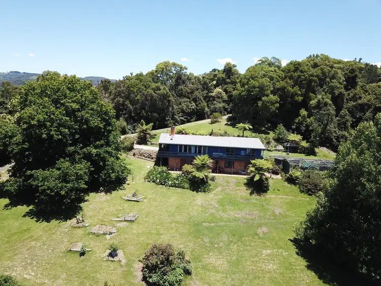 Third view of Homely rural property listing, 521 Muldiva Road, Dorrigo NSW 2453