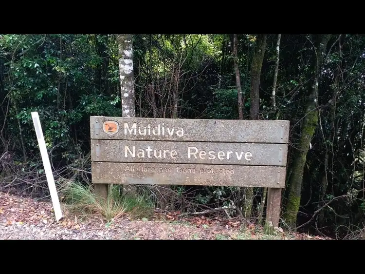 Fifth view of Homely rural property listing, 521 Muldiva Road, Dorrigo NSW 2453